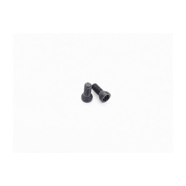 Tanfoglio Grip Screws UNICA, TORX, 2 pcs. (18.D3) 