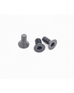 Screw, Rear Sight Adapter Multi-Dot Plate M3x5 T10 (18.D2)