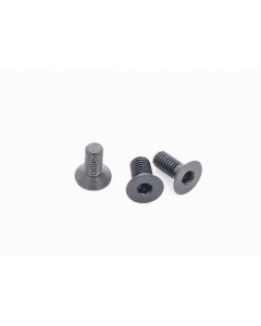Screw, Rear Sight Adapter Multi-Dot Plate M4x5,7 T10 (18.D2)