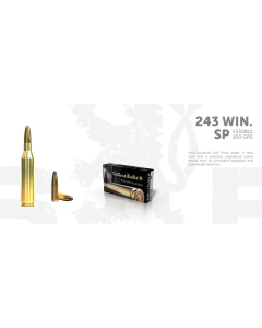 S&B .243W  100G SP, 20 ptr