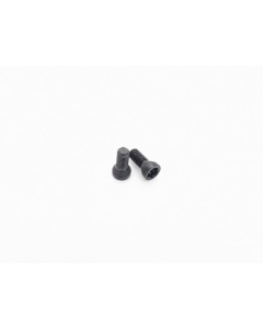Tanfoglio Grip Screws UNICA, TORX, 2 pcs. (18.D3) 